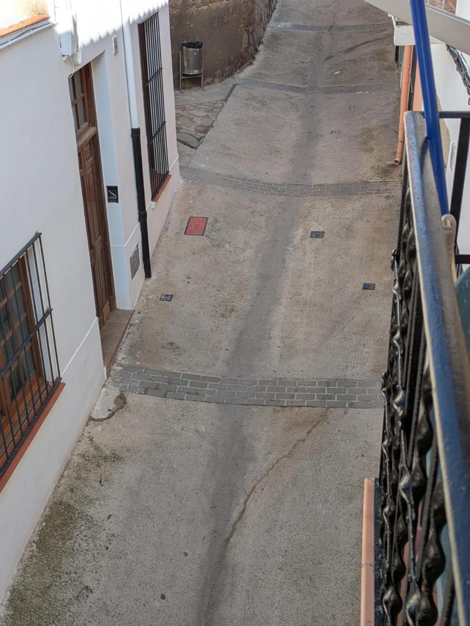 Mitus